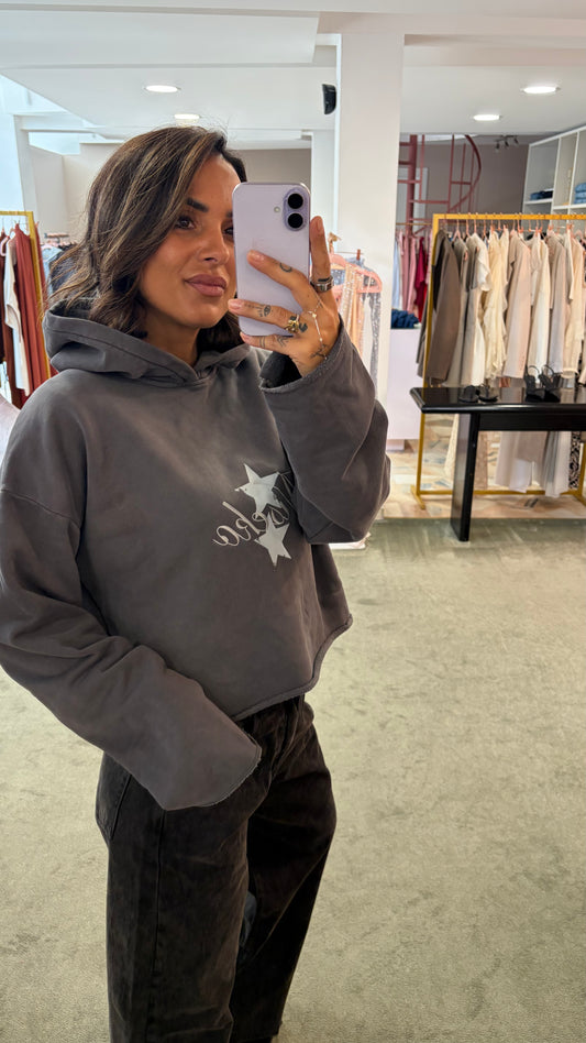 Felpa grigia con cappuccio Icon Denim