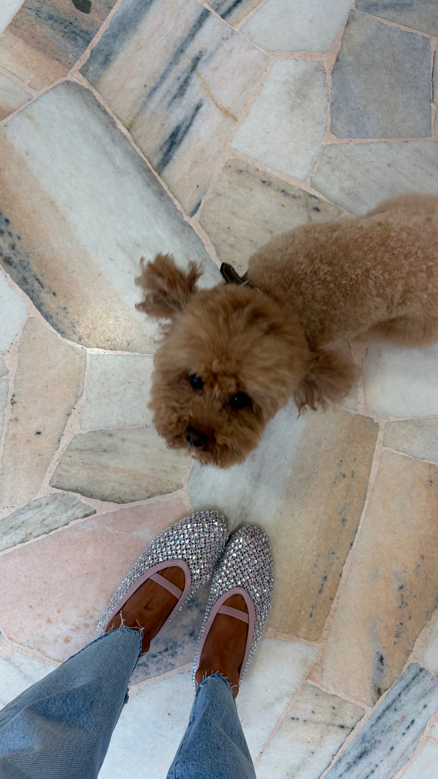 Ballerina rosa in rete crystal