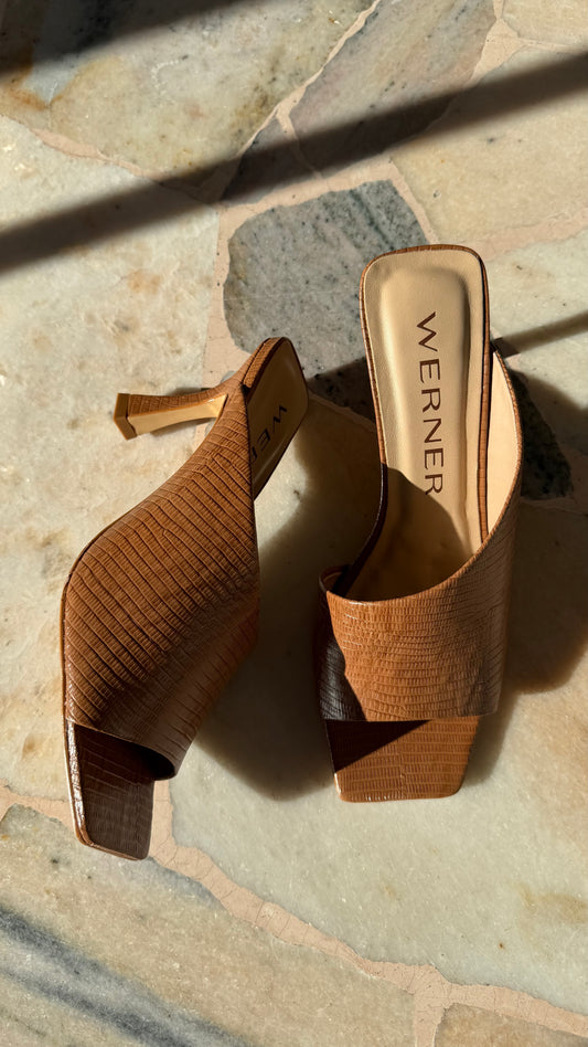 Mules tabacco lizard