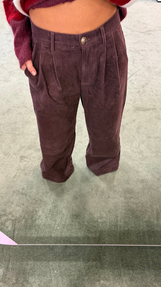 Pantaloni prugna a costine in velluto gl